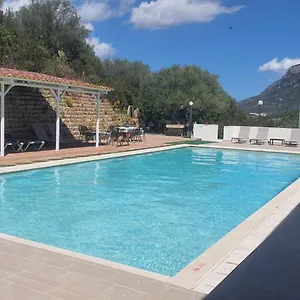Valle Del Cedrino Galtelli